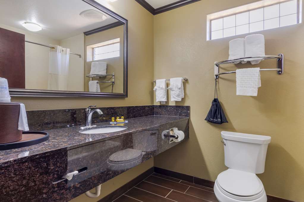 Best Western Plus Classic Inn & Suites - photo 28