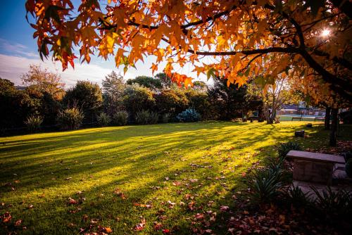 Amanecer en las Piedras in Tandil, Argentina