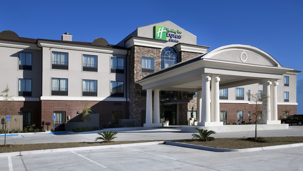 Holiday Inn Express Hotel & Suites Morgan City Tiger Island by IHG - photo 33