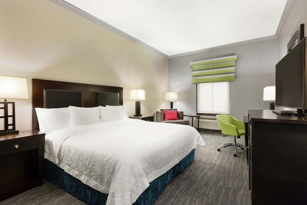 Hampton Inn & Suites Houston Clear Lake Nasa Area - photo 15
