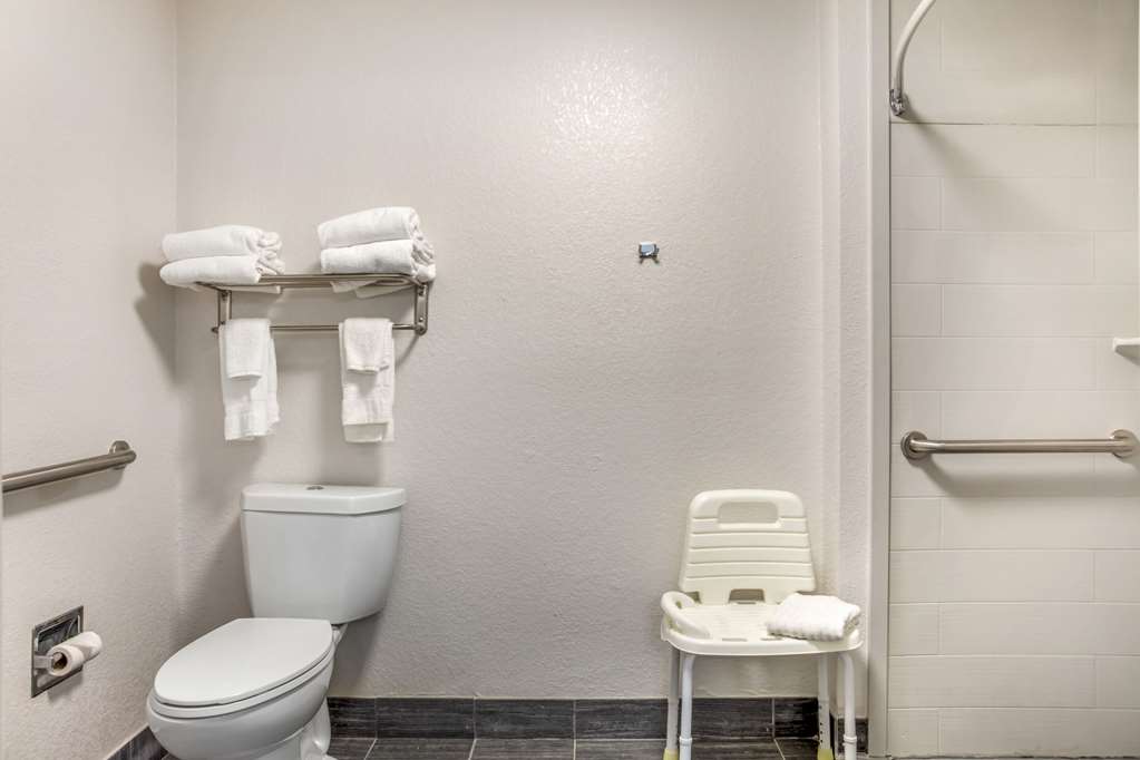 Comfort Suites Nashville Airport BNA - photo 18