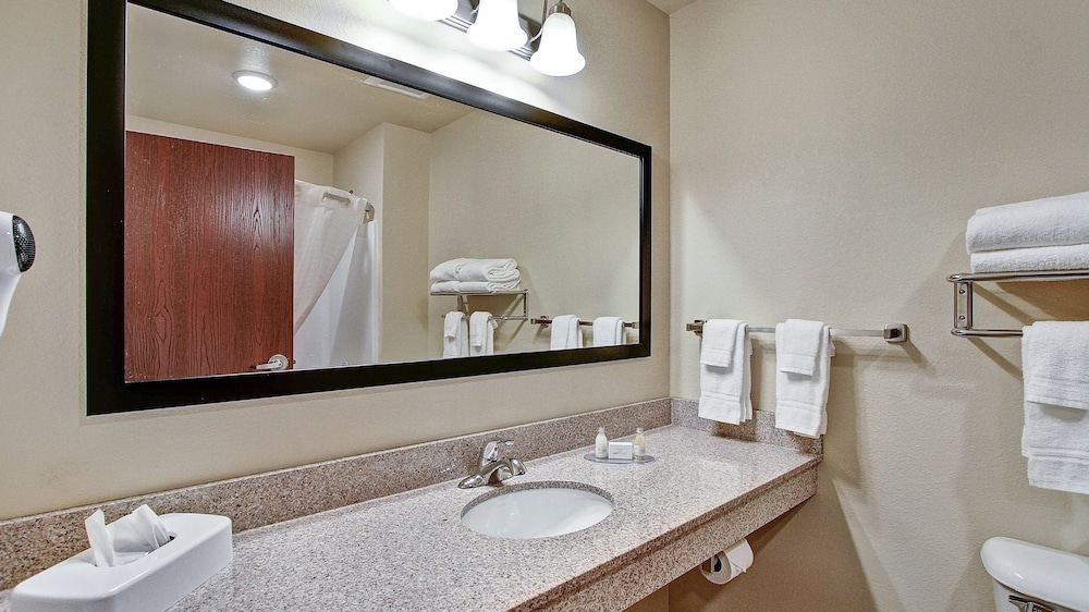 Cobblestone Hotel & Suites Pulaski Green Bay - photo 31