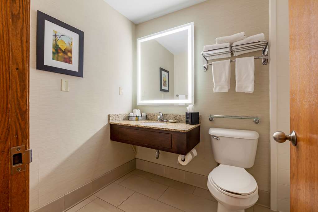 Best Western Plus Dubuque Hotel & Conference Center - photo 54