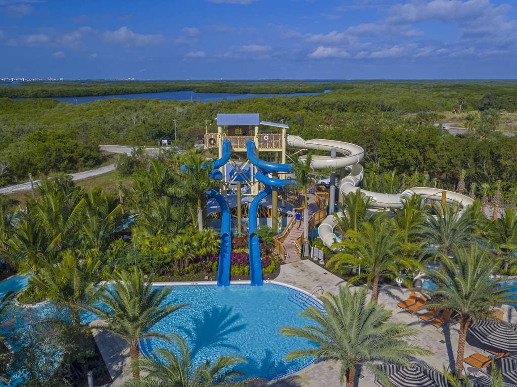 Hyatt Regency Coconut Point Resort & Spa - photo 36