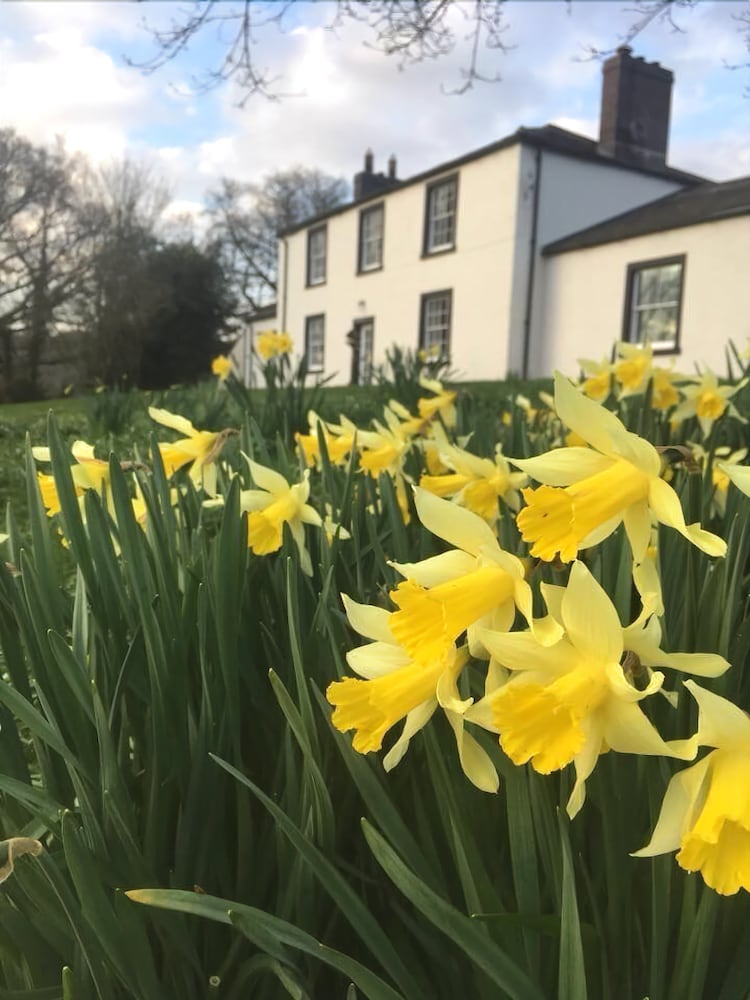 Lanercost Equestrian and Country — hotel in Brampton
