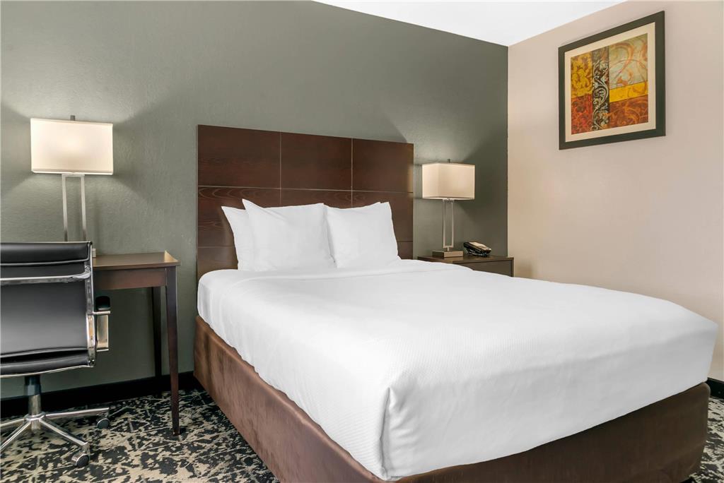 Quality Inn Grand Rapids South Byron Center - photo 18