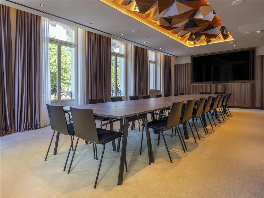 ICONS EHBB Conference MeetingRoom