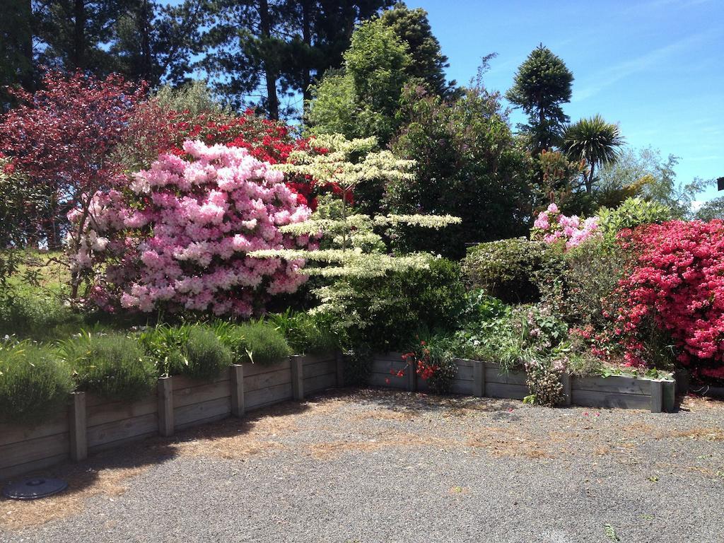 Kauri Point Luxury Bed & Breakfast — 5-Star Luxury Hotel in Taupo, New Zealand