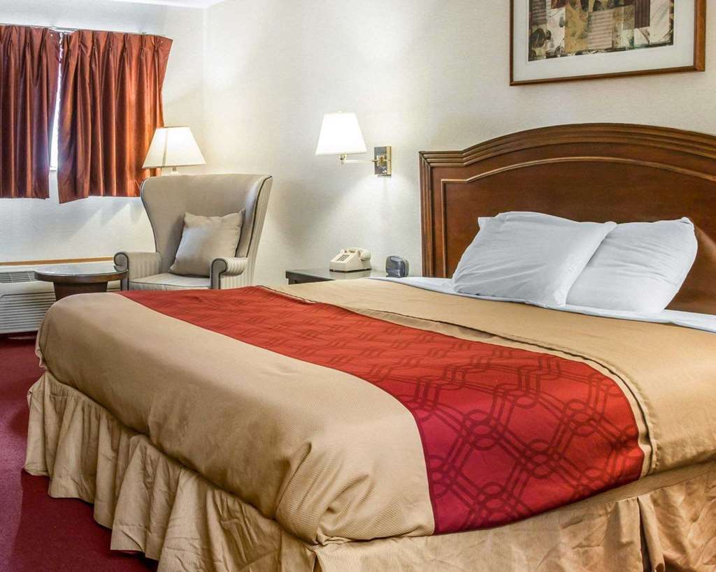 Econo Lodge Airport Holland - photo 4