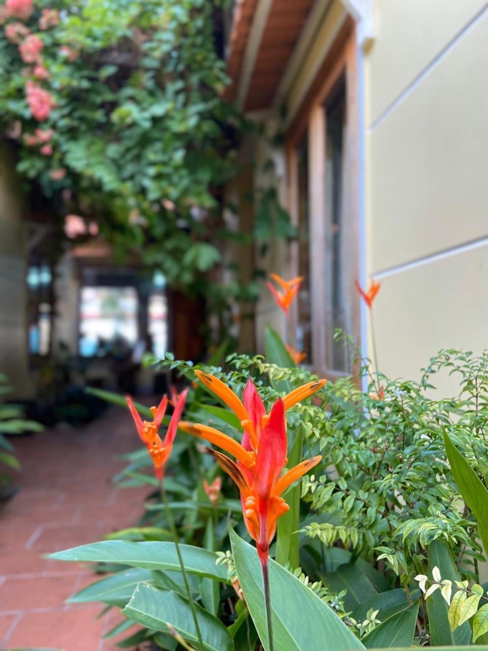 Liên Tho Hotel — Phu Quoc — photo 4