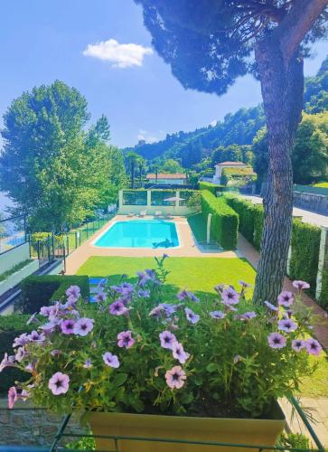 Scarlet Flower Lago Maggiore — Meina — photo 3