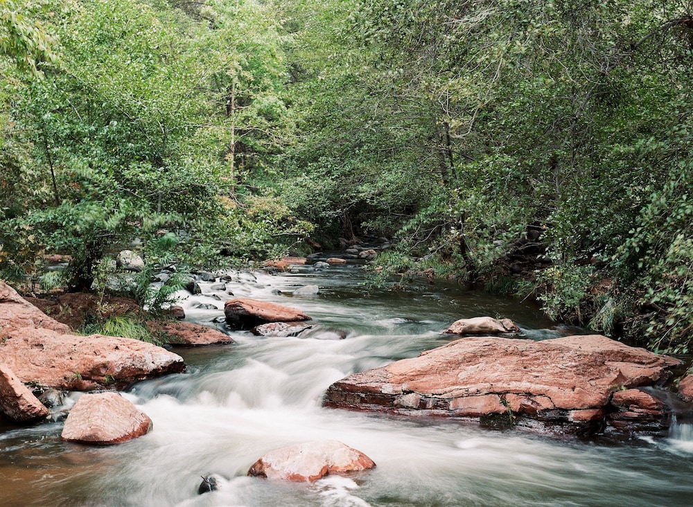 L'Auberge de Sedona - photo 178
