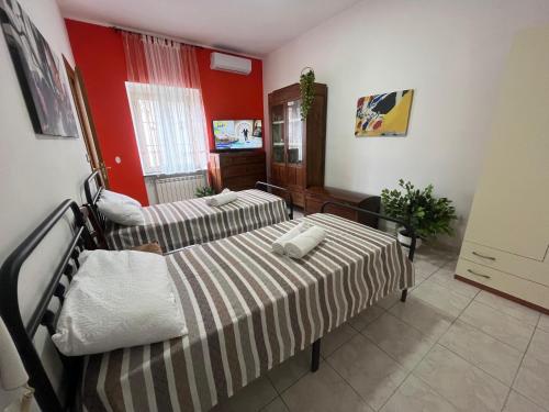 Sinopoli casa — Satriano — photo 4