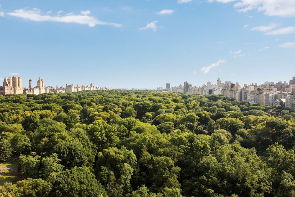The Ritz Carlton New York Central Park - photo 117