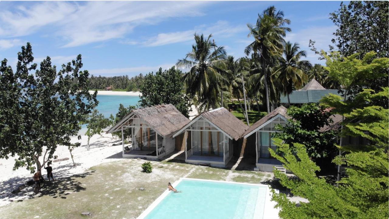 La Belle Hollow Trees in Unknown City, Indonesia