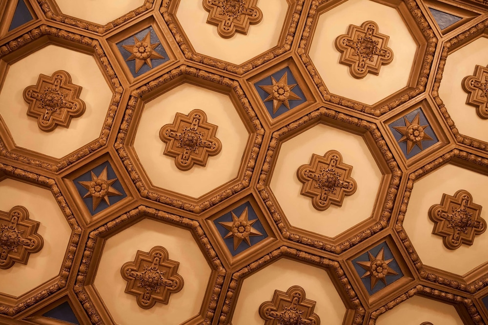 The Roosevelt New Orleans A Waldorf Astoria Hotel - photo 214