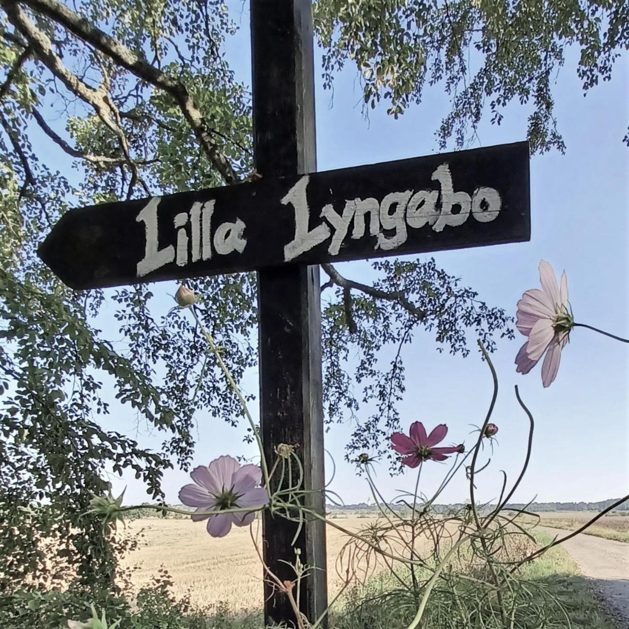 Lilla Lyngabo — Halmstad — photo 2