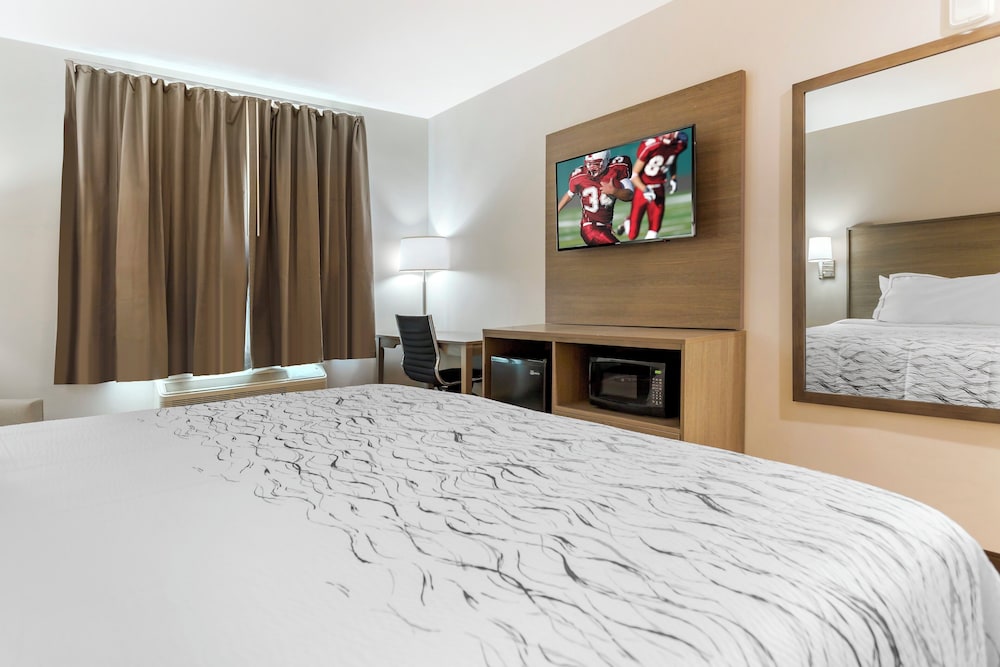 Red Roof Inn Plus Jamaica Ny Jfk Airport - photo 8