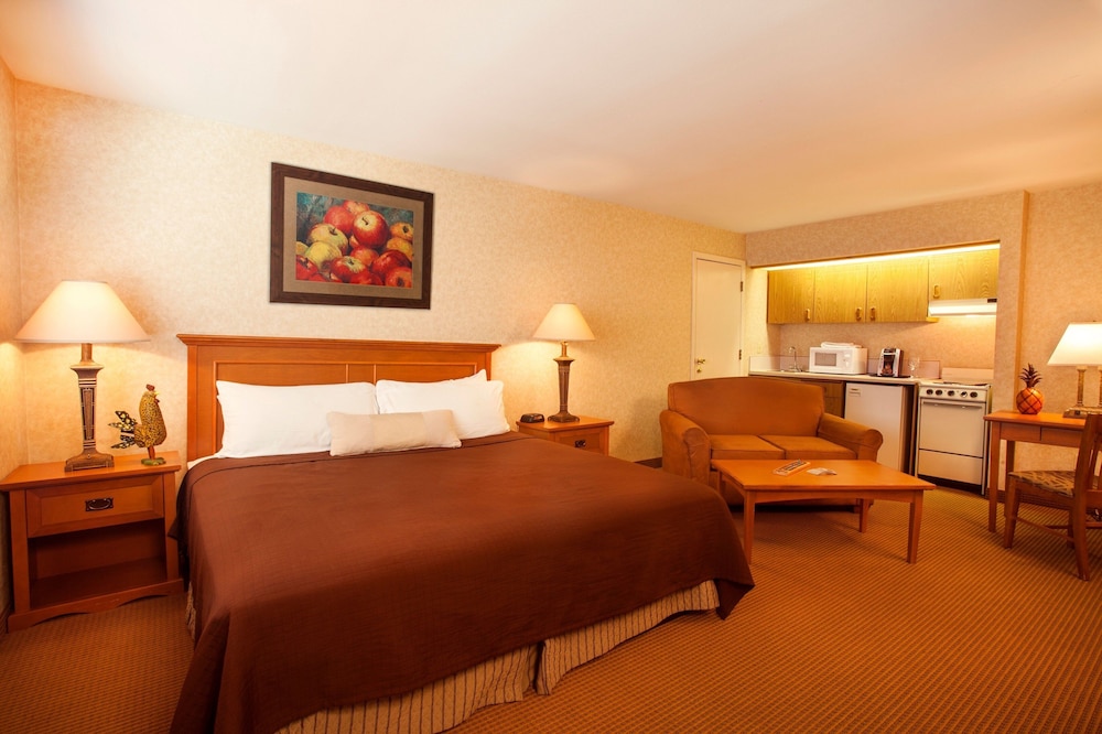Cousins Country Inn - photo 44