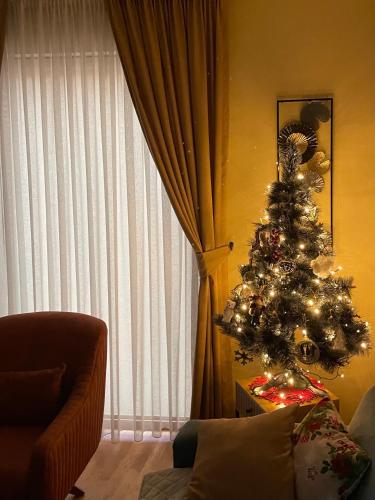 Apartments Gora — 4-Star Luxury Hotel in Kolasin, Montenegro