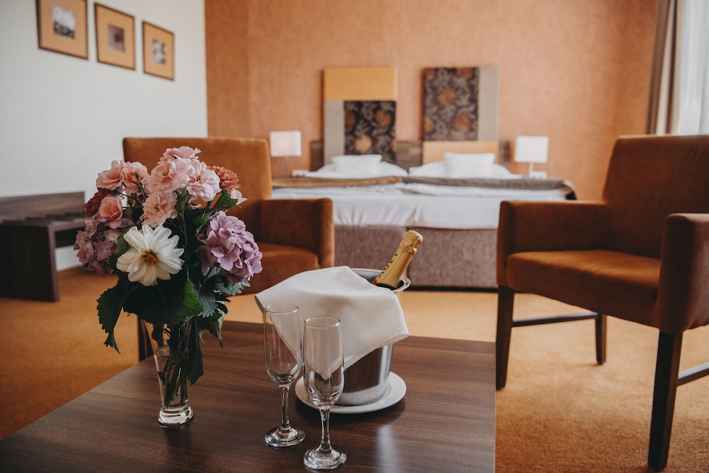 Hotel Belassi — Bojnice — photo 5