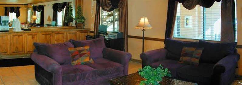 Nellis Suites at Main Gate Hotel - photo 7