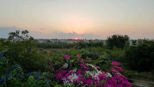 Little Paradise — hotel in Sotira