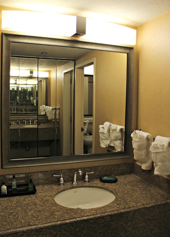 Hotel Elegante Conference & Event Center Colorado Springs - photo 15