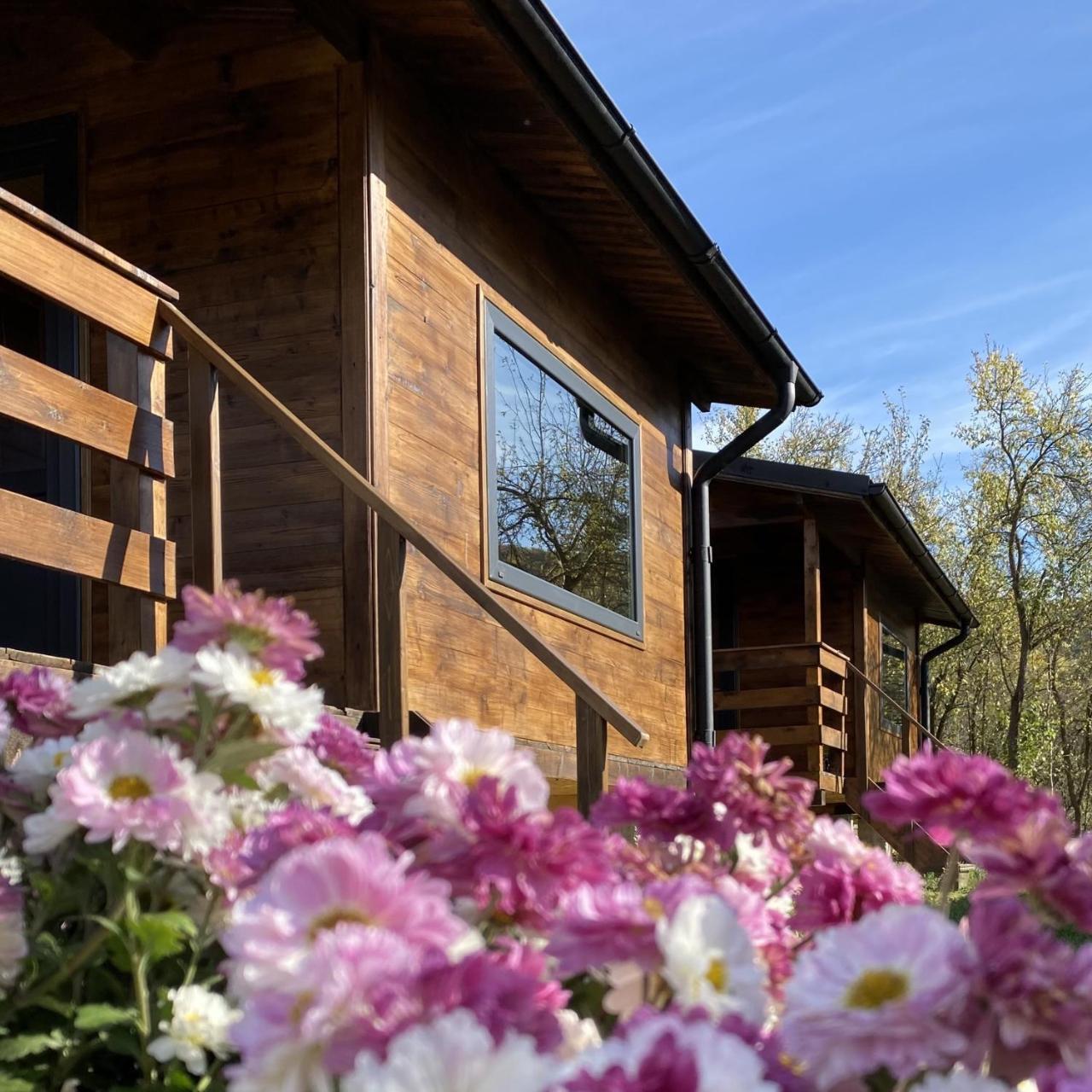 Bungalouri Olanesti in Baile Olanesti, Romania