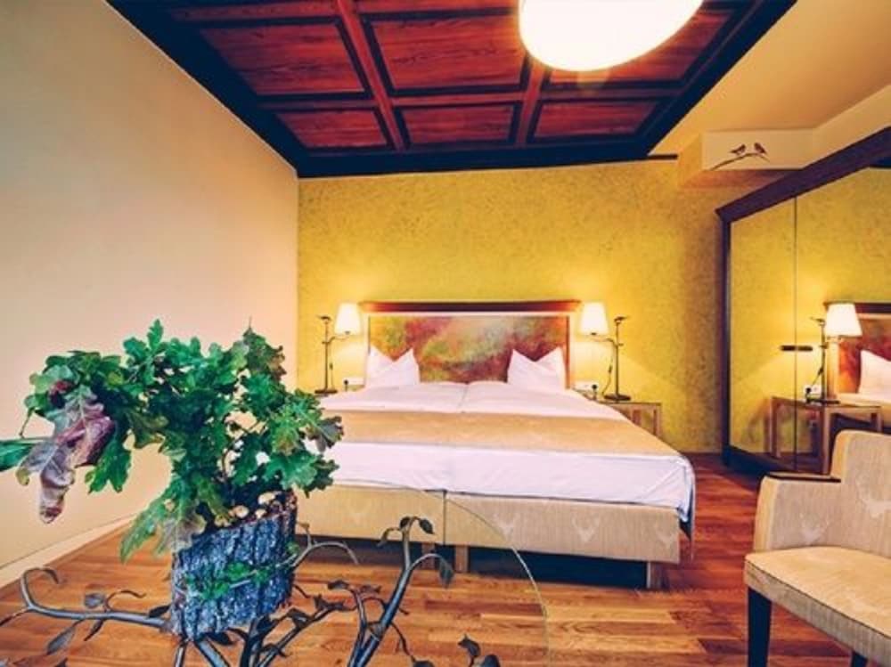 Trip Inn Hotel Der Adelshof — Schwaebisch Hall — photo 5
