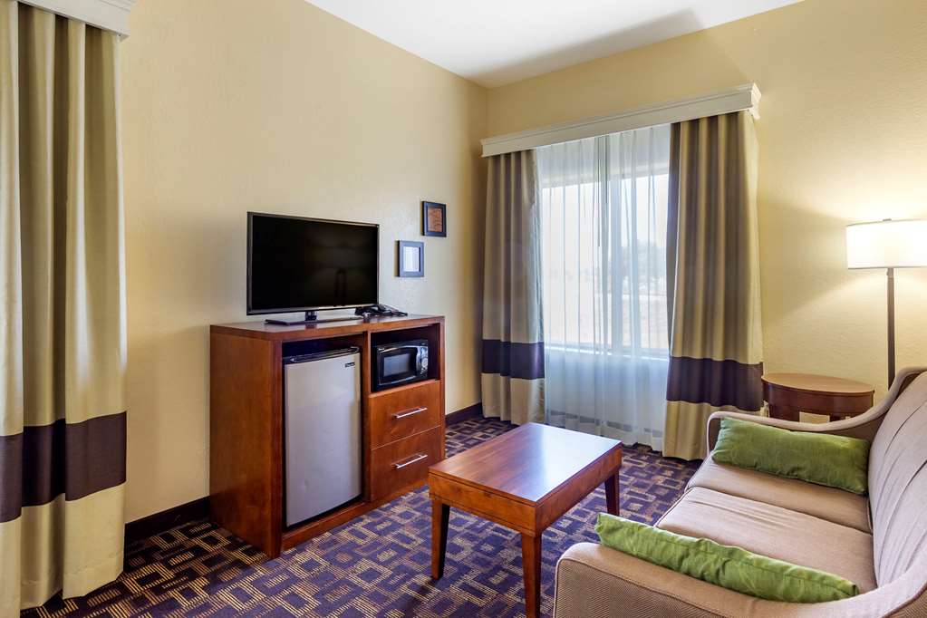 Comfort Inn & Suites North Aurora Naperville - photo 21