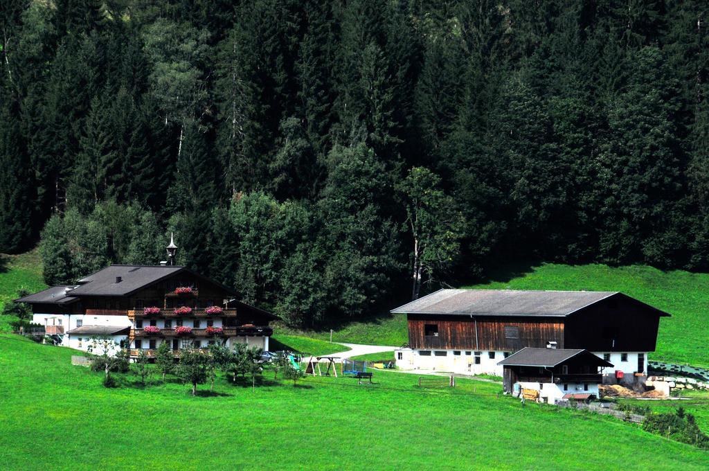 Peilberghof — 4-Star Luxury Hotel in Hollersbach Im Pinzgau, Austria