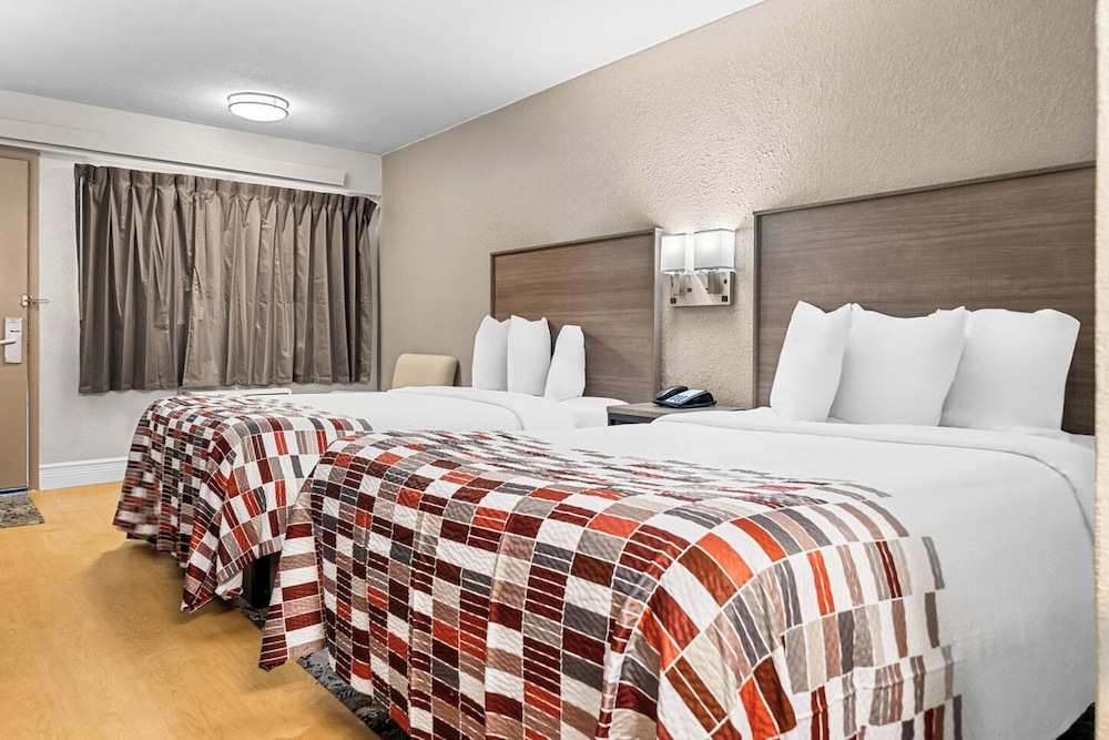 Red Roof Inn Tampa Fairgrounds Casino - photo 19