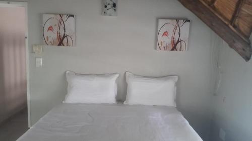 Mandy place - carbon neutral hotel in Unknown City