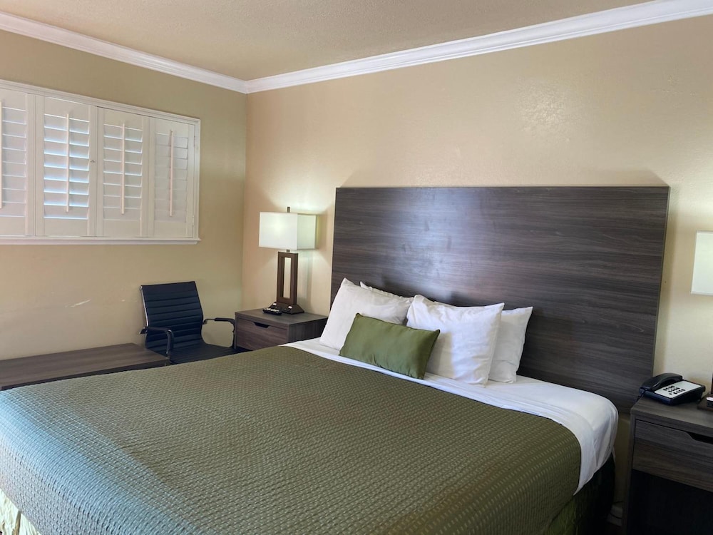 Holland Inn & Suites - photo 18