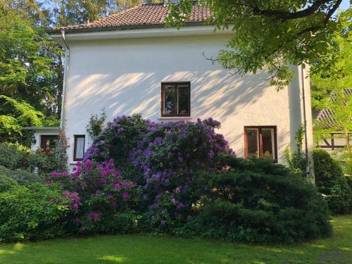 Ferienhaus Hudemühlen — hotel in Hodenhagen