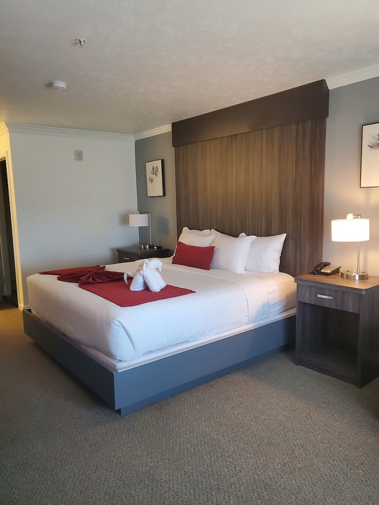 Sequoia Inn - photo 5