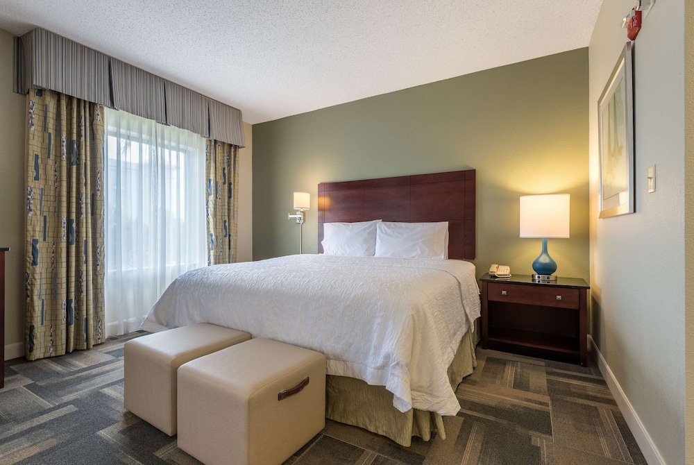 Hampton Inn & Suites Orlando South Lake Buena Vista - photo 16