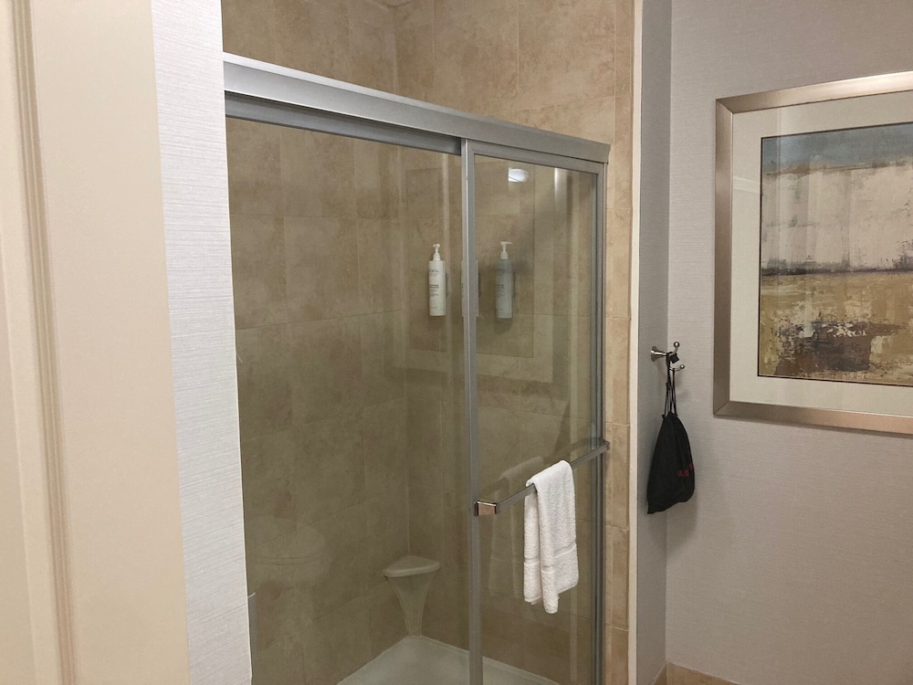 Hampton Inn & Suites Carlsbad - photo 29