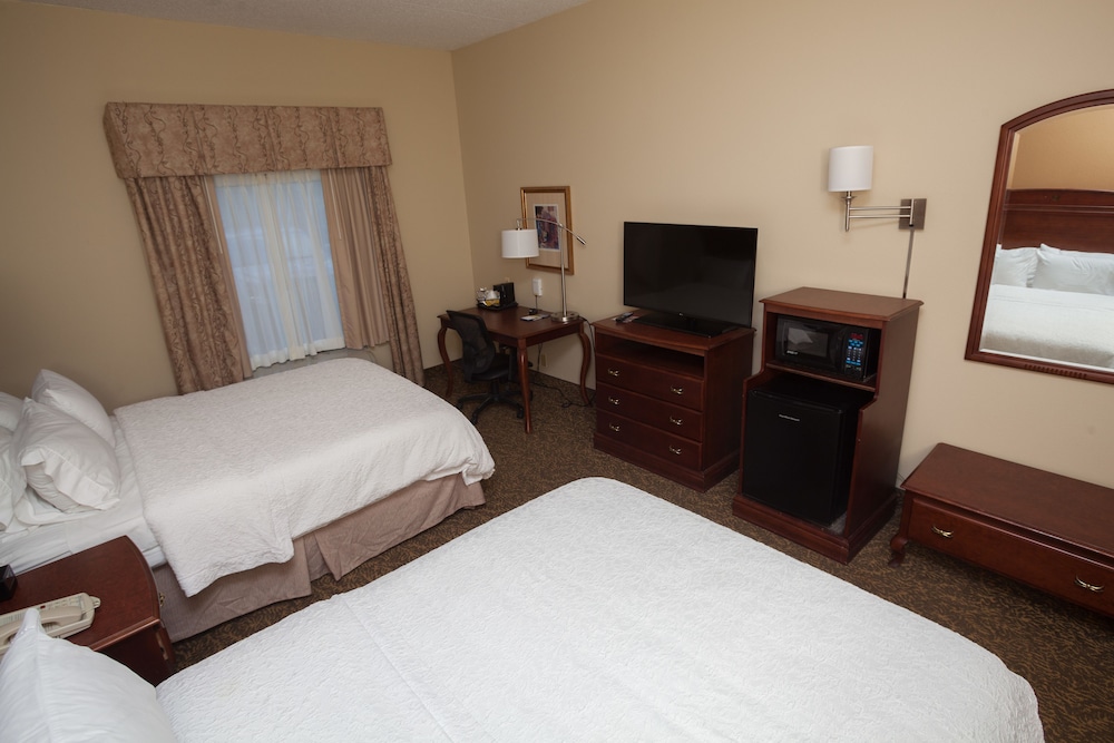 Hampton Inn Oneonta - photo 5