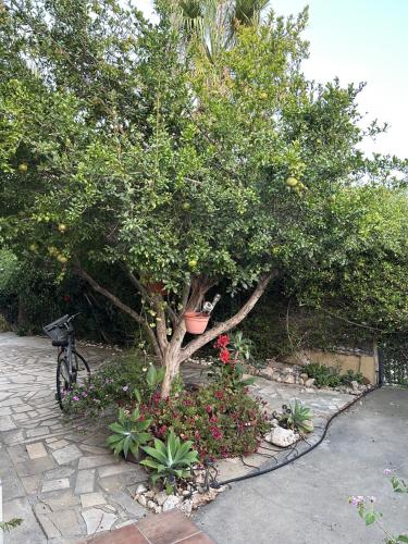 Beautiful maisonette in Protaras — Protaras — photo 5