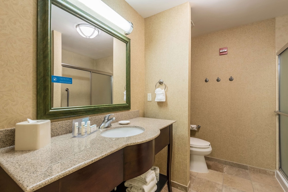 Hampton Inn & Suites Orlando South Lake Buena Vista - photo 38