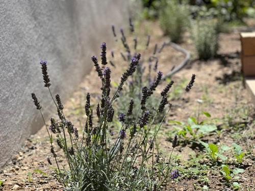 Une nuit en Luberon in Merindol, France