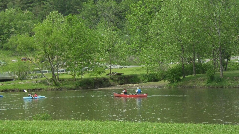 The Cabins at Healing Springs - photo 49