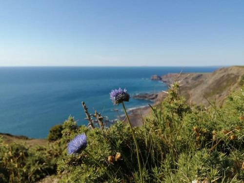 Kiberick Cottage at Crackington Haven near Bude and Boscastle Cornwall — 4-Star Luxury Hotel in Bude, United Kingdom