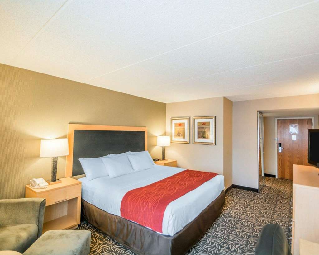 Comfort Inn NYS Fairgrounds - photo 14