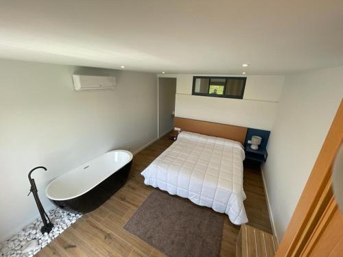 Olivo de Reis in Caldas De Reis, Spain