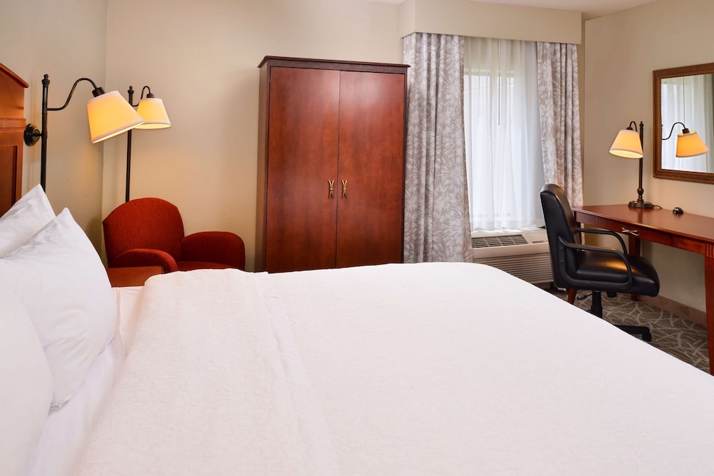 Hampton Inn by Hilton Litchfield - photo 7