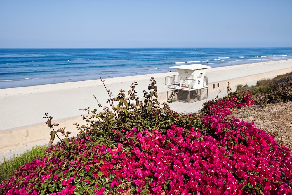 The Cassara Carlsbad Tapestry Collection by Hilton - photo 111