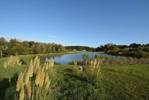 Campion Lodge — Colchester — photo 5